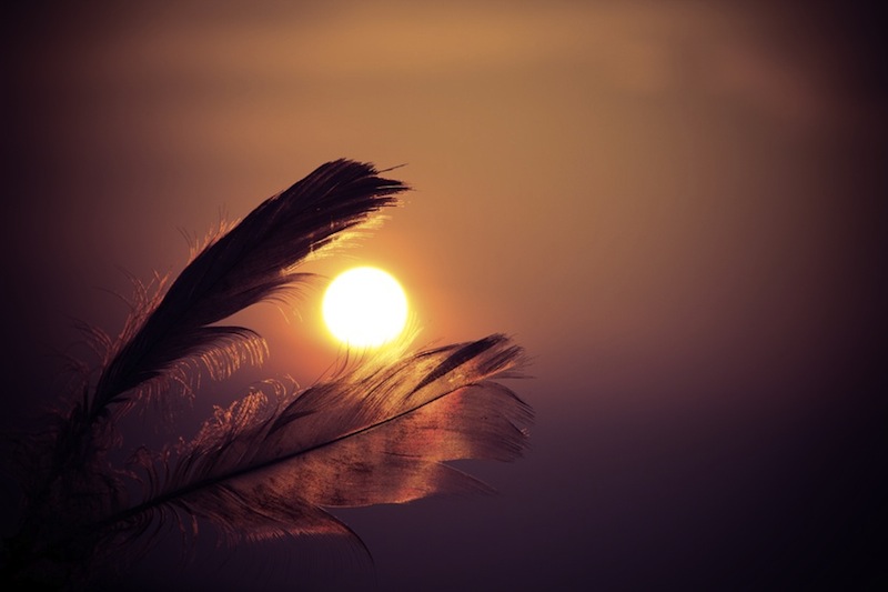 sunset-feathers-large